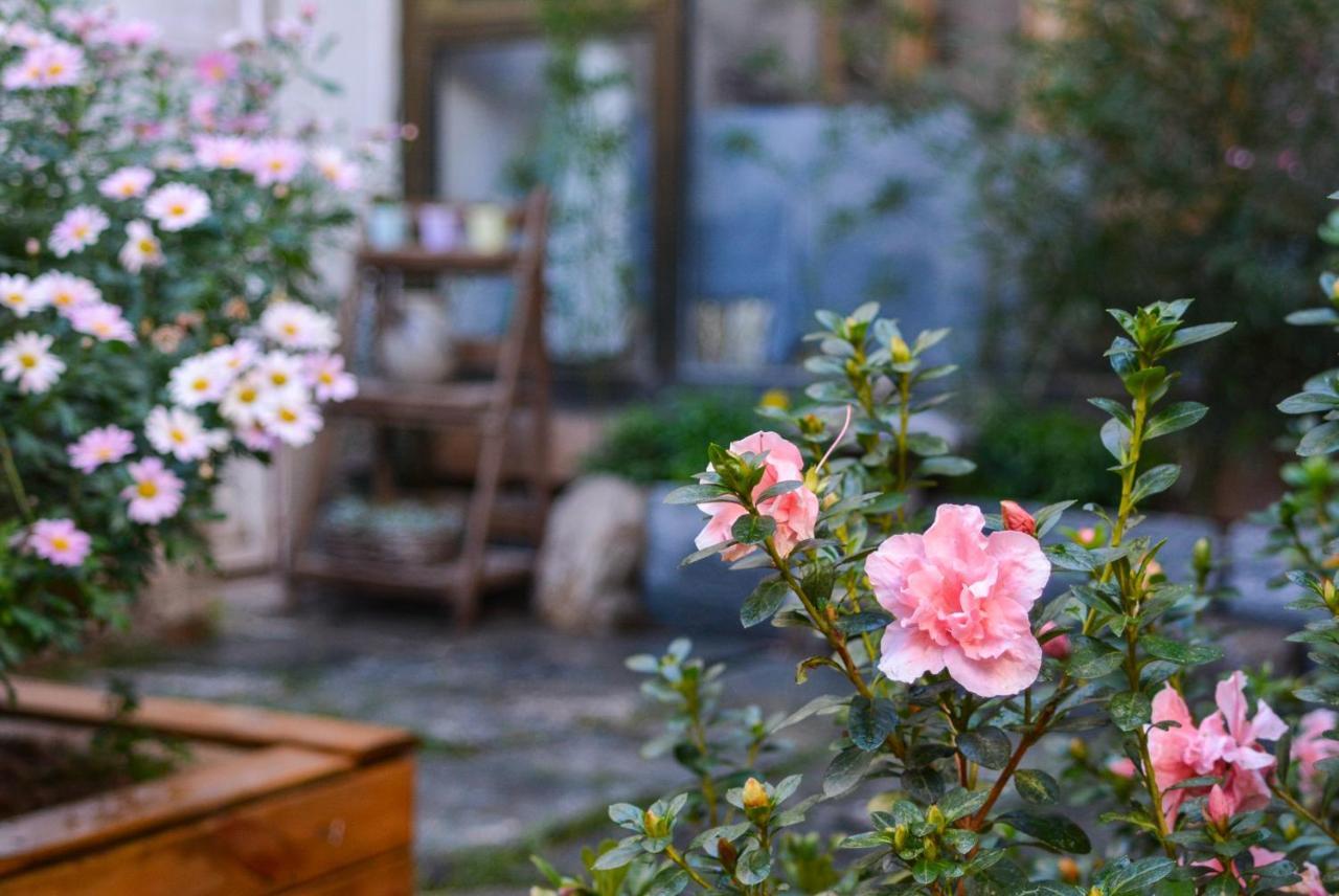 Dali Buxianshan Boutique Guesthouse-In Dali Ancient City,Near Three Pag Odas And Erhai Lake,Provide Tour Guide Service And Local Experience Eksteriør billede
